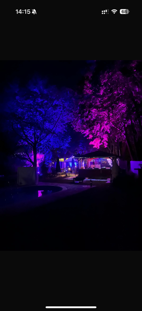 Bunt beleuchtetes Gebäude umgeben von lila und blauen Bäumen bei Nacht.